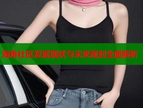 海角社区发展现状与未来规划全面解析  第1张