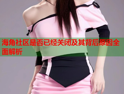 海角社区是否已经关闭及其背后原因全面解析  第1张