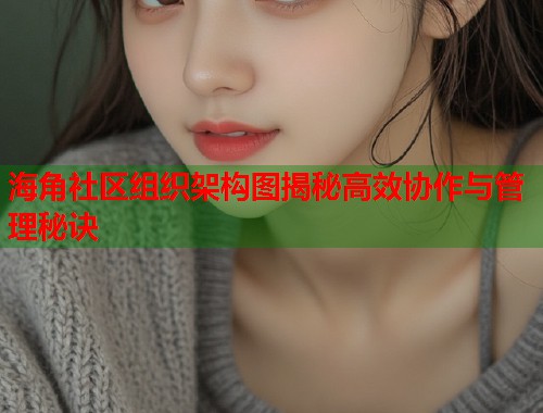 海角社区组织架构图揭秘高效协作与管理秘诀  第2张