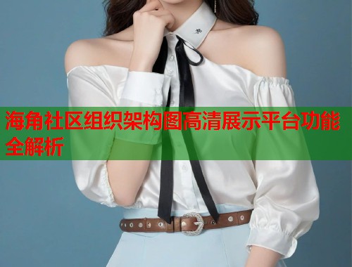 海角社区组织架构图高清展示平台功能全解析  第1张