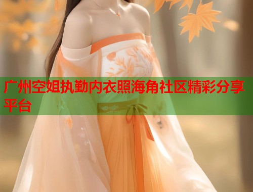 广州空姐执勤内衣照海角社区精彩分享平台  第1张