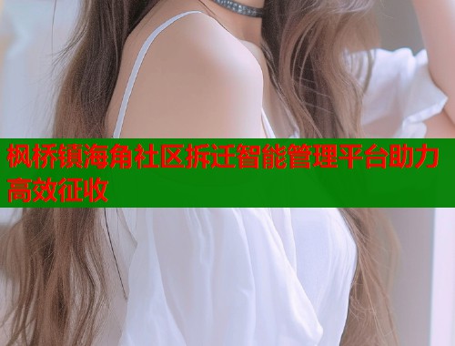 枫桥镇海角社区拆迁智能管理平台助力高效征收  第1张
